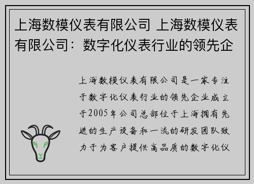 上海数模仪表有限公司 上海数模仪表有限公司：数字化仪表行业的领先企业